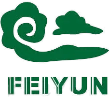 feiyun